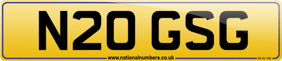 N20 GSG