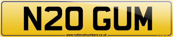 N20 GUM