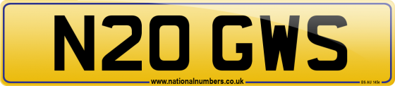 N20 GWS