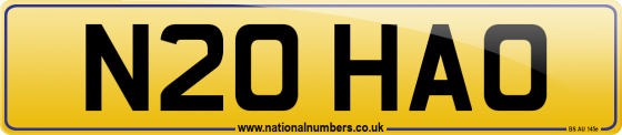 N20 HAO