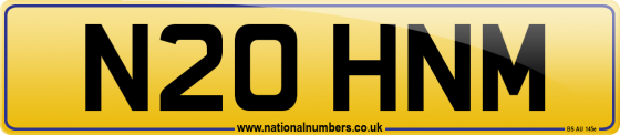 N20 HNM