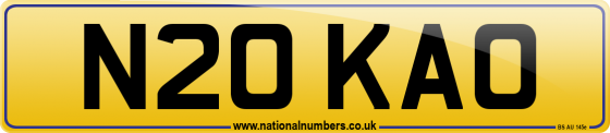 N20 KAO