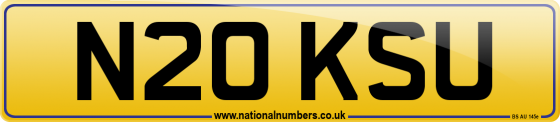 N20 KSU