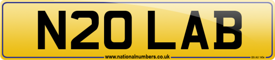 N20 LAB