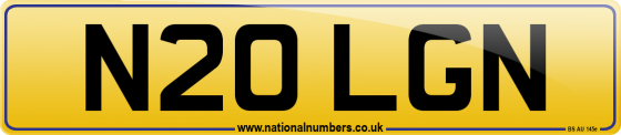 N20 LGN