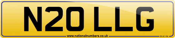 N20 LLG