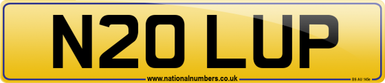 N20 LUP