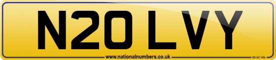 N20 LVY