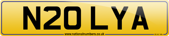 N20 LYA