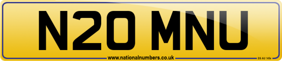 N20 MNU