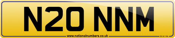 N20 NNM