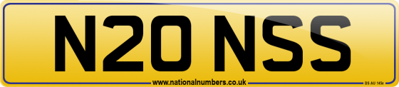 N20 NSS