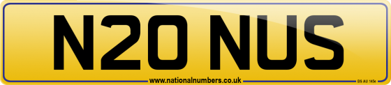N20 NUS