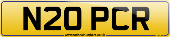 N20 PCR