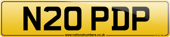 N20 PDP