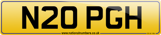 N20 PGH