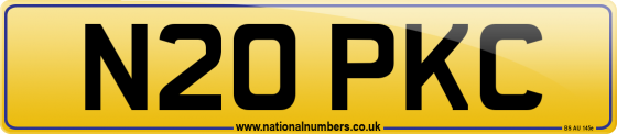 N20 PKC