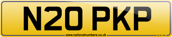 N20 PKP