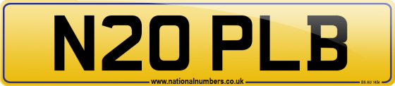 N20 PLB