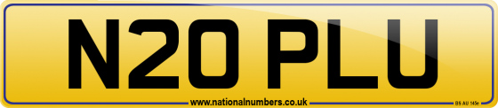 N20 PLU