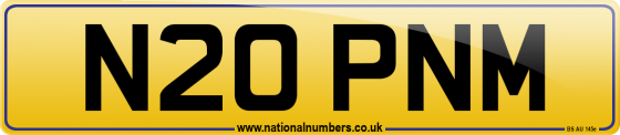 N20 PNM