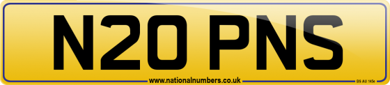 N20 PNS