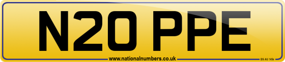 N20 PPE