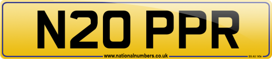 N20 PPR