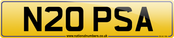 N20 PSA
