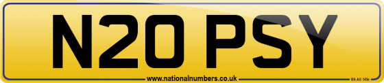 N20 PSY
