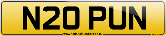 N20 PUN