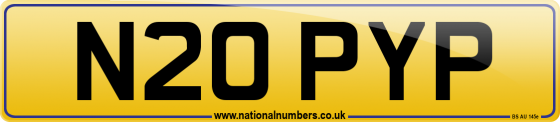 N20 PYP