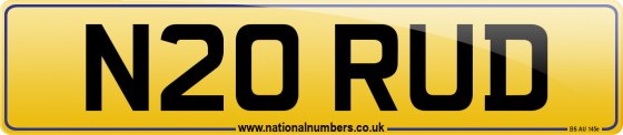 N20 RUD