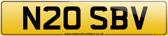 N20 SBV