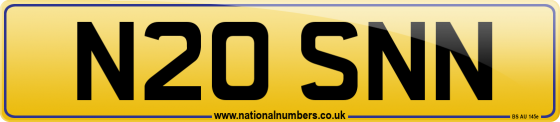 N20 SNN
