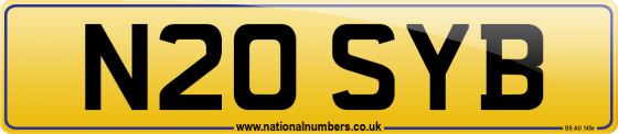 N20 SYB