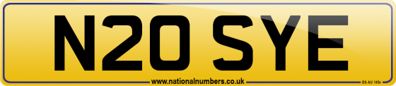 N20 SYE