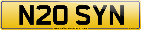 N20 SYN