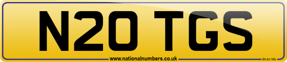N20 TGS