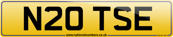 N20 TSE