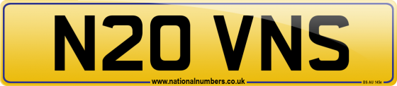 N20 VNS
