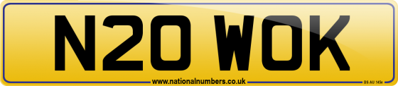 N20 WOK