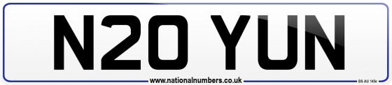 N20 YUN