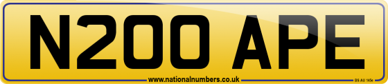 N200 APE