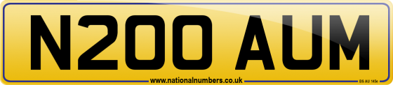N200 AUM