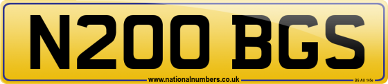 N200 BGS