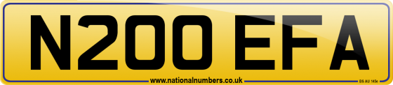N200 EFA