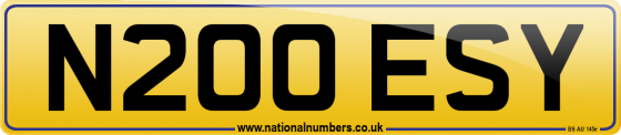 N200 ESY