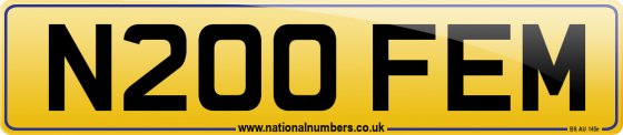 N200 FEM
