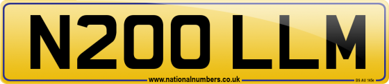 N200 LLM